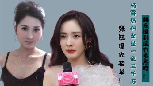 暗黑女星爆料免费观看视频大全,免费观看独家视频大全大揭秘  第3张